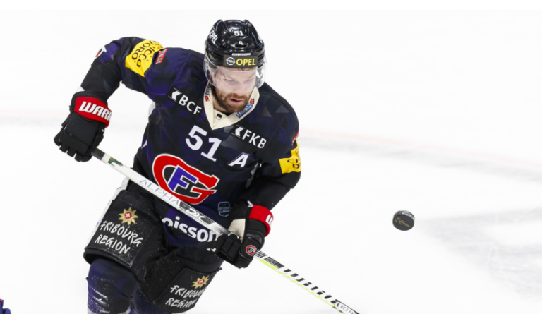 Deux autres anciens de la LNH repêchés dans la LNAH