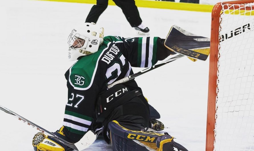 Les Bisons de Granby signent ses deux gardiens