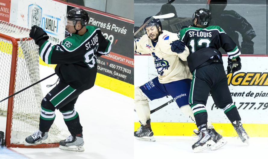 Les frères St-Louis s’entendent avec les Bisons