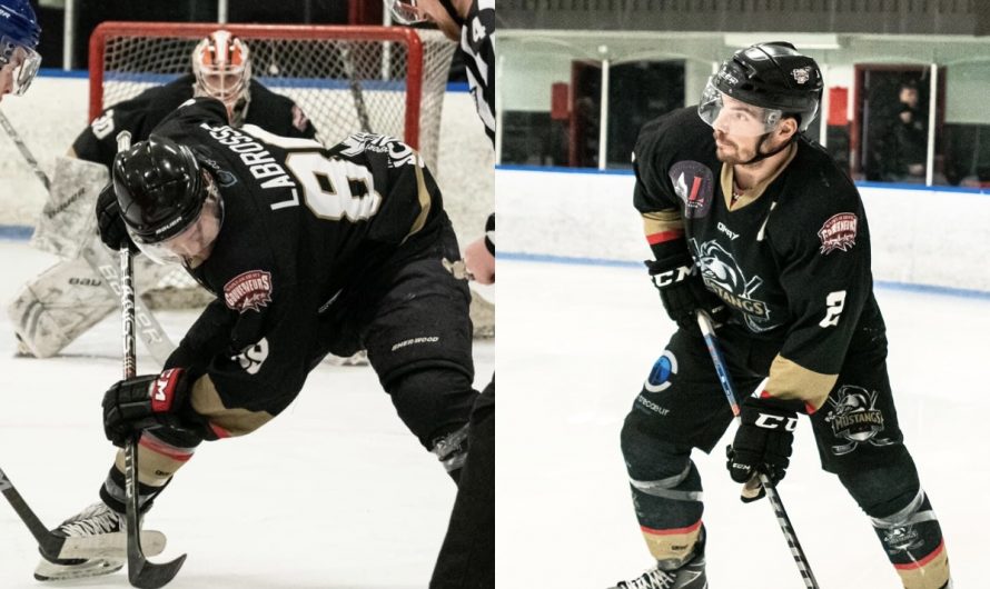 Deux retours attendus chez les Mustangs