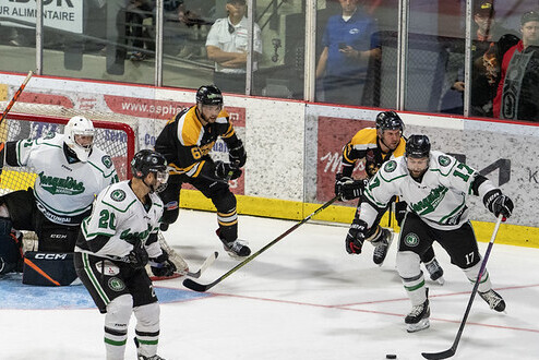La LNAH publiera hebdomadairement un résumé des suspensions