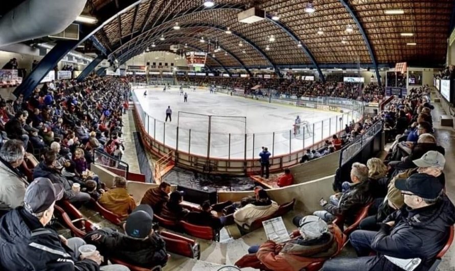 Hausse des assistances dans les arénas de la LNAH