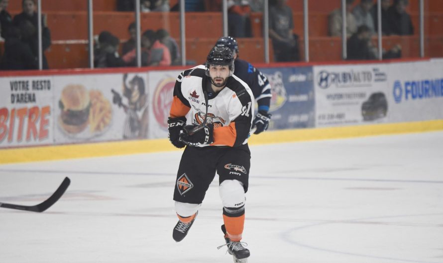La LNAH annonce ses joueurs du mois de novembre