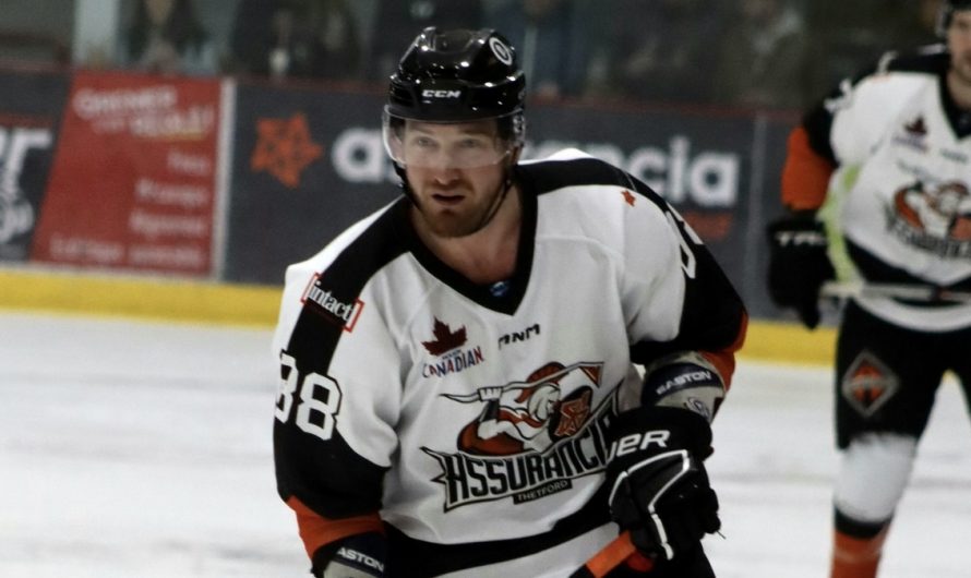 La LNAH dévoile ses étoiles de la seizième semaine