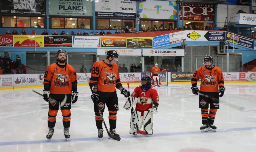 LNAH en vrac : vingtième semaine d’activités