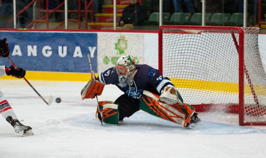 La LNAH annonce ses étoiles de la 20e semaine