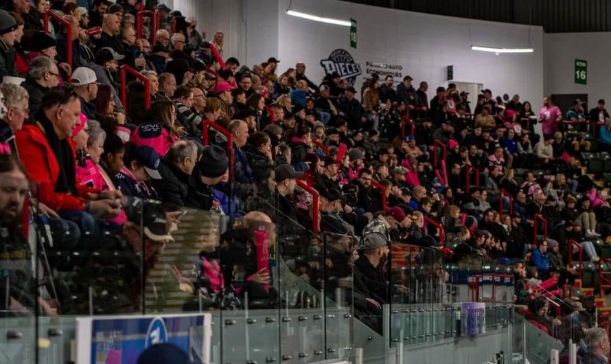 De nouveaux sommets pour les assistances de la LNAH