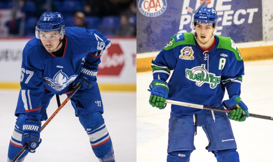 Les Marquis de Jonquière annoncent l&rsquo;arrivée de deux nouveaux joueurs