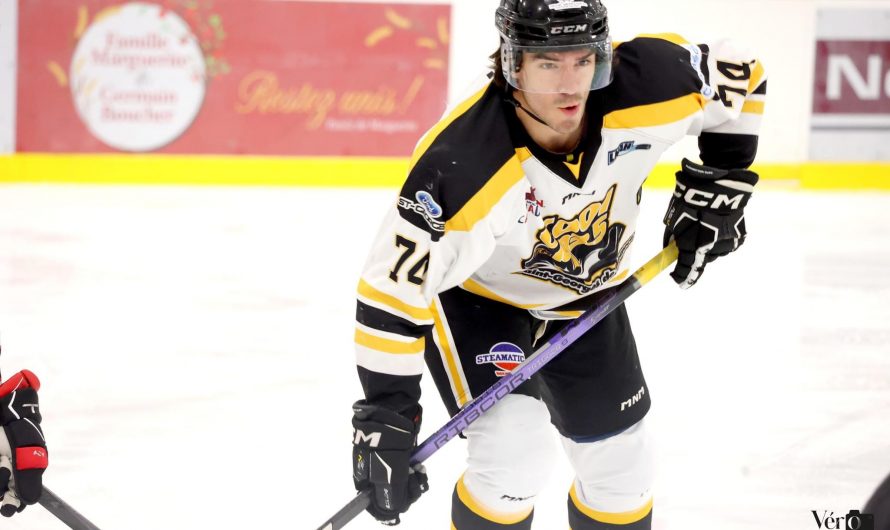 La LNAH a fait connaître ses joueurs par excellence du mois d&rsquo;octobre